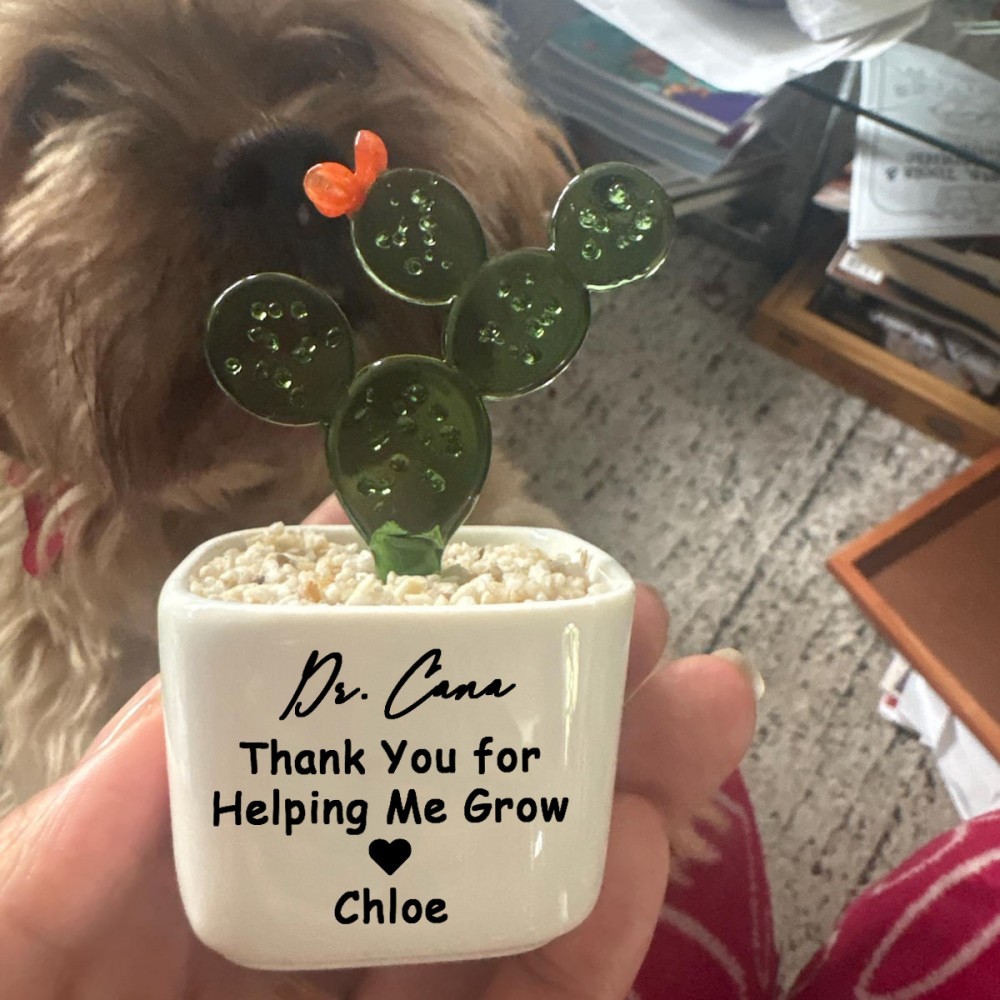 Custom Stained Glass Flower Pot Perfect Teacher Appreciation Gift