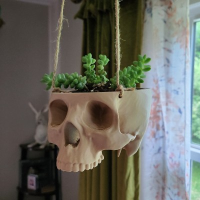 Skull Hanging Planter Pot Creepy Gothic Planter for Spooky Home Decor Halloween Gifts